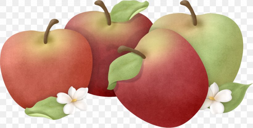 Food Apple Fruits Et Légumes Auglis, PNG, 1280x647px, Food, Apple, Auglis, Diet Food, Drawing Download Free
