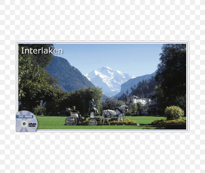 Interlaken Grindelwald Lake Thun Wengen Chalet-Gafri, PNG, 694x694px, Interlaken, Alps, Bernese Highlands, Grass, Grindelwald Download Free