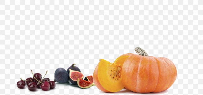 Pumpkin Vegetarian Cuisine Winter Squash Food Jam, PNG, 1737x814px, Pumpkin, Apitherapy, Bee, Beekeeping, Calabaza Download Free