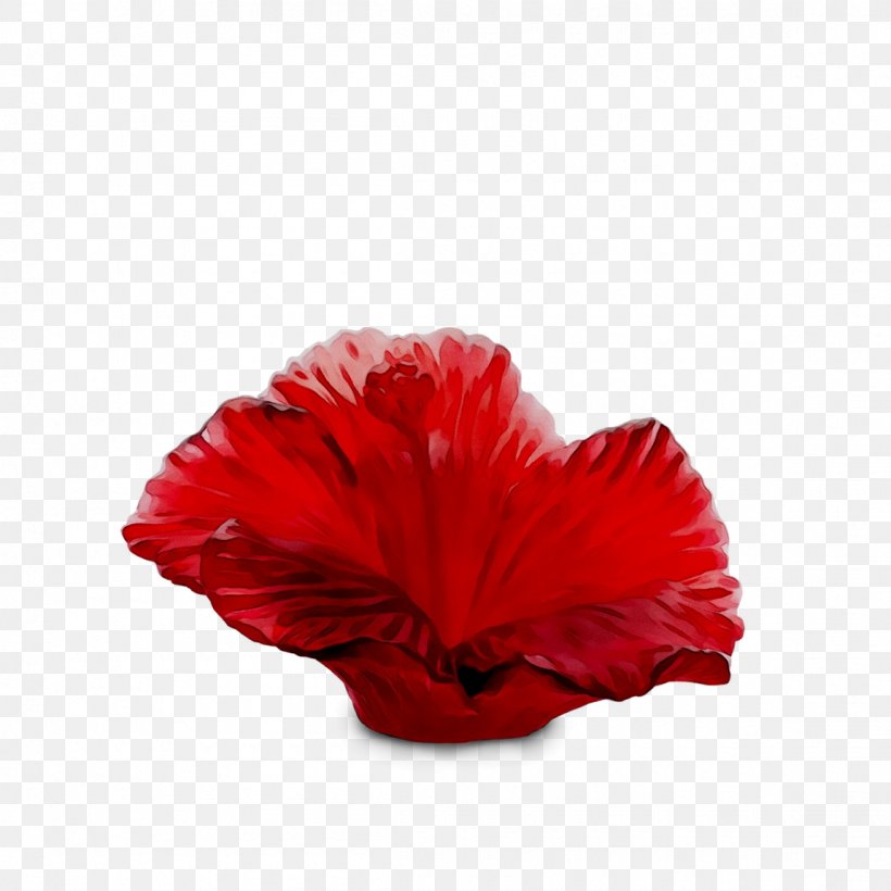 Rosemallows The Poppy Family RED.M, PNG, 1150x1150px, Rosemallows, Coquelicot, Flower, Hibiscus, Malvales Download Free