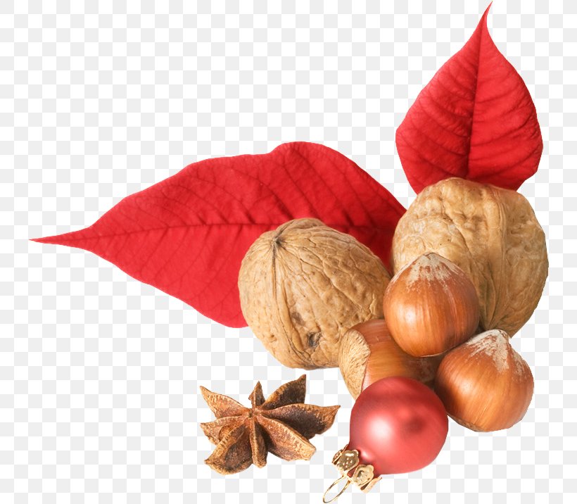 Walnut Clip Art Food, PNG, 742x716px, Nut, Chestnut, Chinese Chestnut, Christmas Day, Dried Fruit Download Free