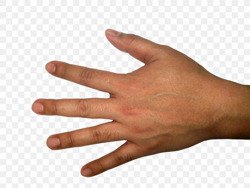 Hands , Hand Image Free, PNG, 3264x2448px, Hand, Arm, Clipping Path, Finger, Forearm Download Free