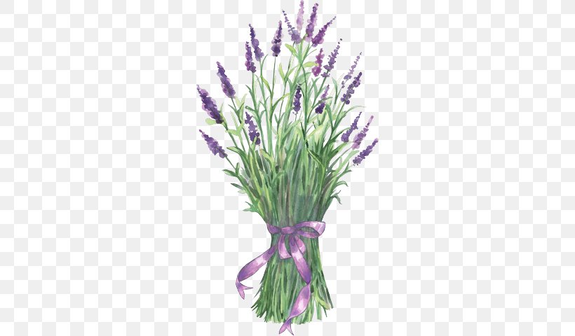 Lavender Flower Clip Art, PNG, 260x480px, Lavender, Color, Cut Flowers, Decoupage, Drawing Download Free
