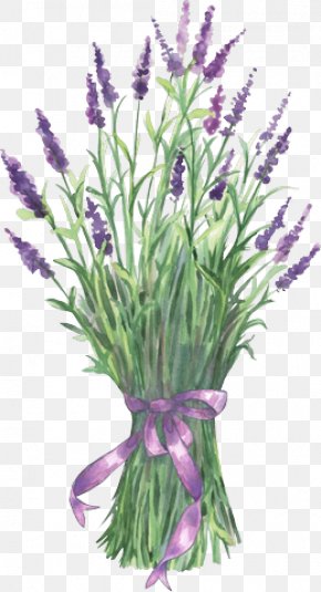 Lavender Flower Clip Art, PNG, 445x603px, Lavender, Art, Art Blog ...