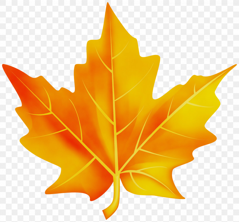 Maple Leaf, PNG, 3000x2794px, Watercolor, Black Maple, Deciduous, Leaf, Maple Leaf Download Free