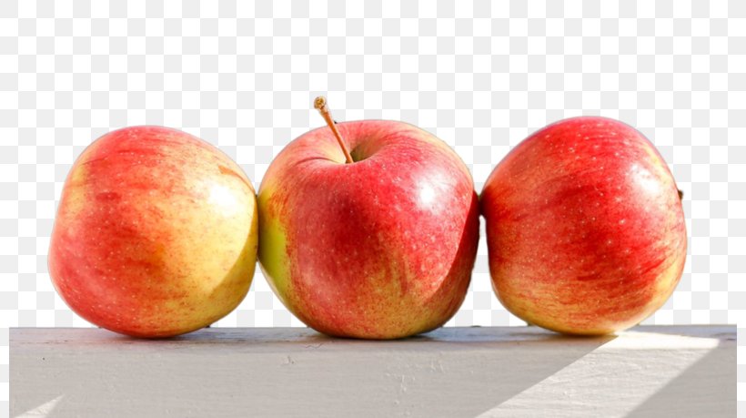 Painting Food Paradise Apple, PNG, 800x459px, Painting, Advertising, Apple, Diet Food, Food Download Free