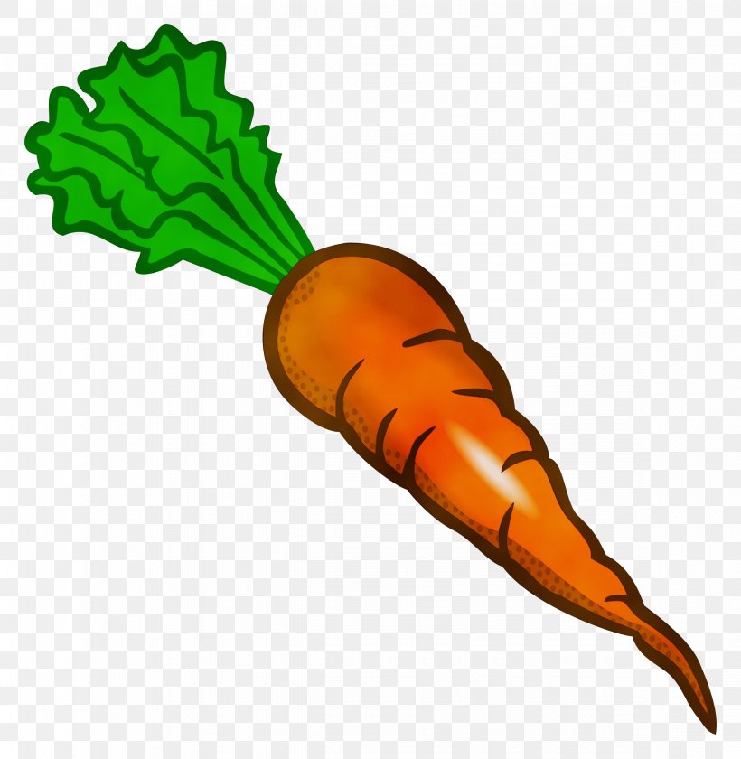 Carrot Root Vegetable Vegetable Daikon Baby Carrot, PNG, 2342x2400px, Watercolor, Baby Carrot, Carrot, Daikon, Food Download Free