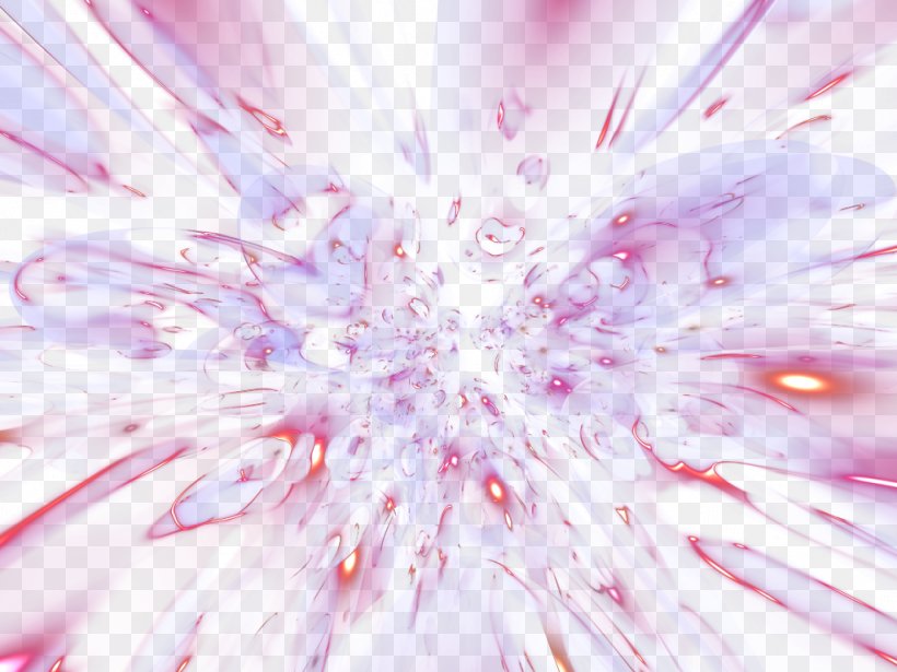 Light Petal Close-up Pattern, PNG, 1024x768px, Light, Closeup, Computer, Flower, Magenta Download Free