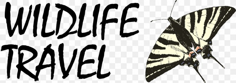 Brush-footed Butterflies Travel Photography Logo, PNG, 1071x378px, Brushfooted Butterflies, Animal, Arthropod, Black And White, Brand Download Free