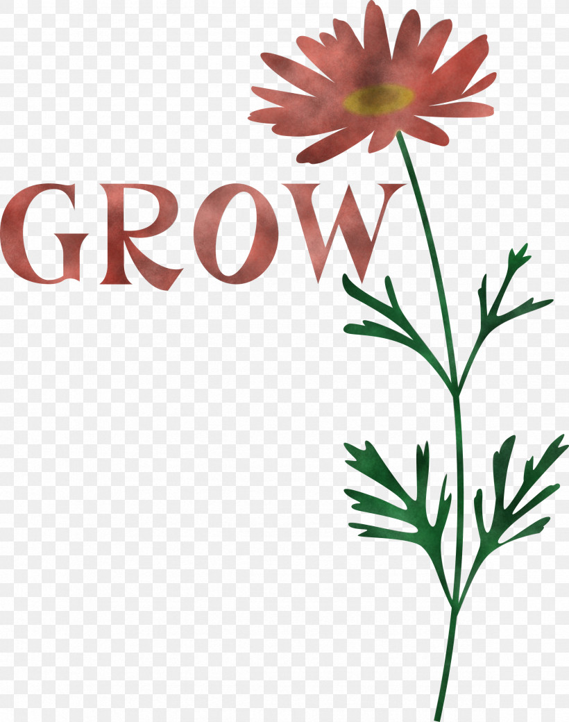 GROW Flower, PNG, 2364x2999px, Grow, Chrysanthemum, Drawing, Flower, Size Download Free