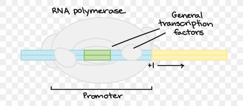 Paper Line Technology Angle, PNG, 1127x494px, Paper, Area, Diagram, Joint, Material Download Free