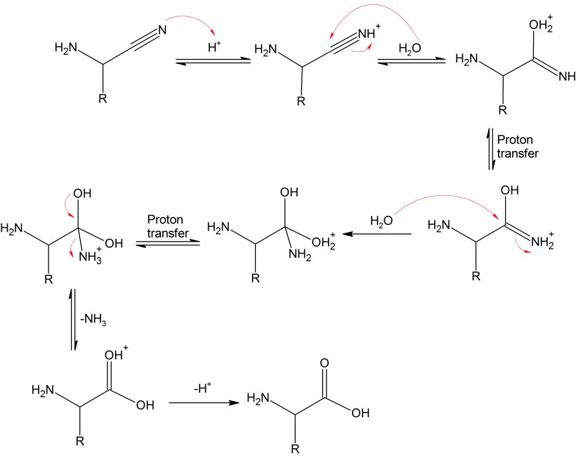 Strecker Amino Acid Synthesis Dehydration Reaction Chemical Synthesis, PNG, 3938x3118px, Amino Acid Synthesis, Acid, Aldehyde, Amine, Amino Acid Download Free