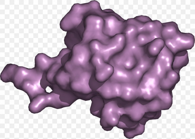 Ubiquitin Protein Cell Lysosome PyMOL, PNG, 942x673px, Ubiquitin, Active Transport, Autophagy, Avram Hershko, Biology Download Free