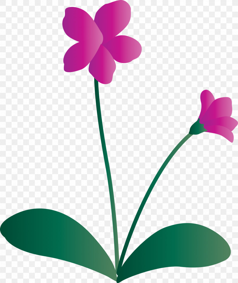 Violet Flower, PNG, 2523x3000px, Violet Flower, Biology, Flora, Flower, Herbaceous Plant Download Free