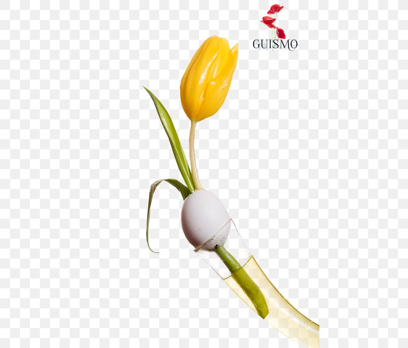 Tulip Easter 0 April Cut Flowers, PNG, 465x700px, 6 April, 2017, Tulip, April, Cut Flowers Download Free