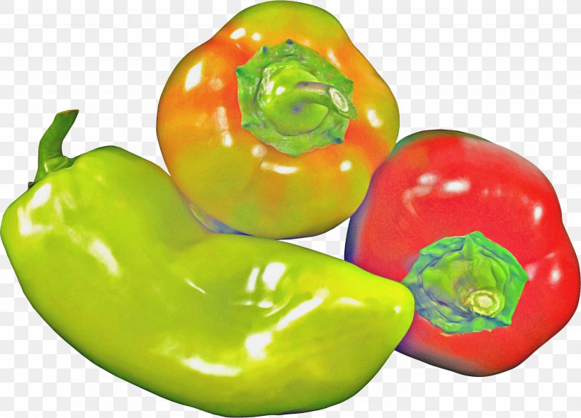Vegetable Cartoon, PNG, 2927x2108px, Habanero, Bell Pepper, Bell Peppers And Chili Peppers, Capsicum, Cayenne Pepper Download Free