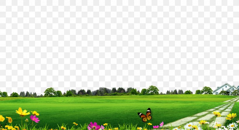 Download Lawn, PNG, 1100x600px, Lawn, Computer, Designer, Energy, Field Download Free