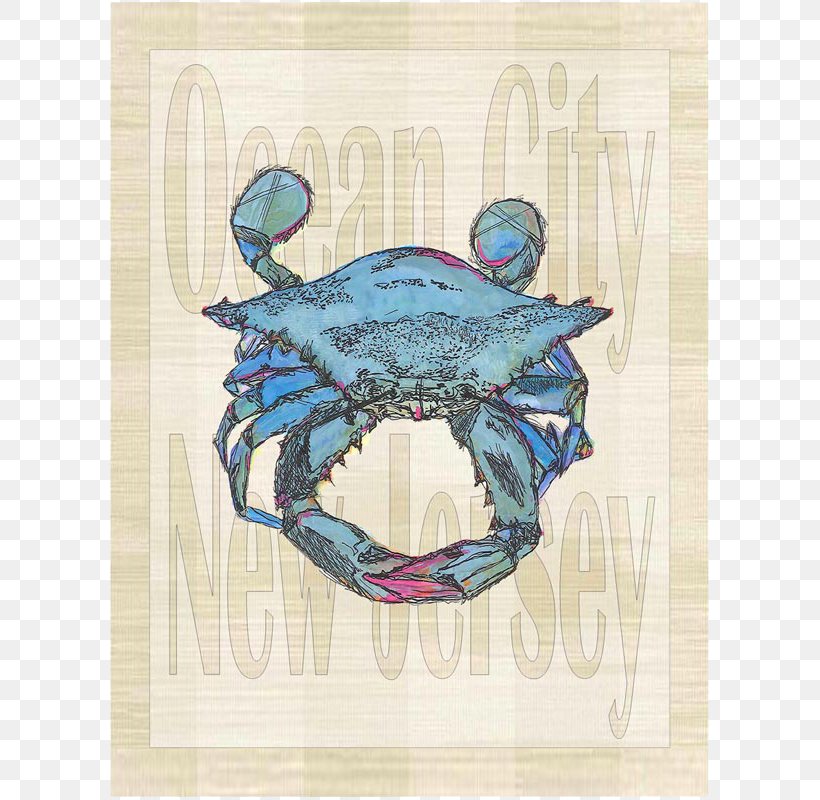 Dungeness Crab Turquoise, PNG, 800x800px, Dungeness Crab, Blue, Crab, Decapoda, Dungeness Download Free