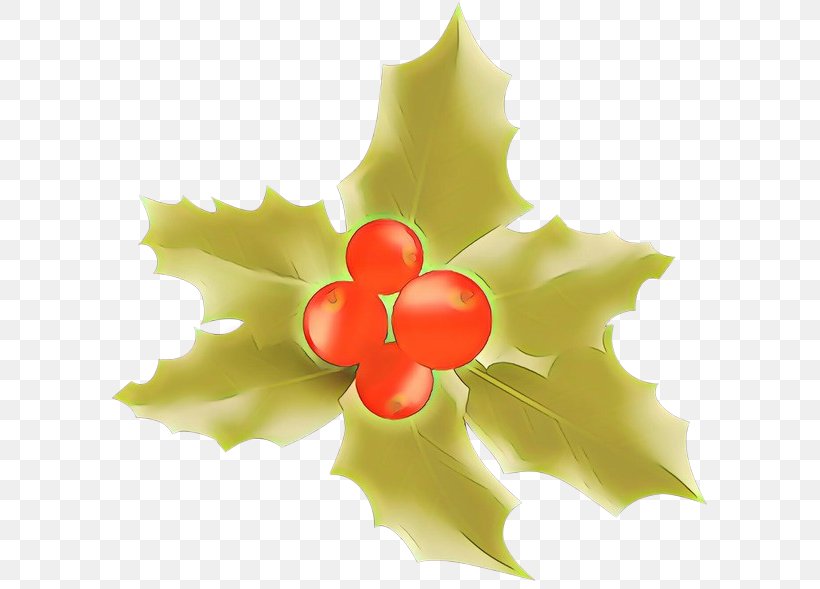 Holly, PNG, 600x589px, Cartoon, Flower, Holly, Leaf, Petal Download Free