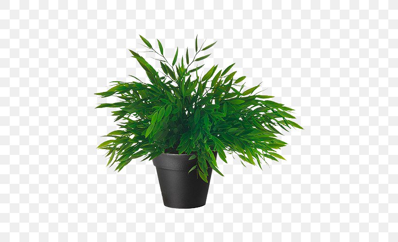Houseplant Flowerpot Artificial Flower Tropical Woody Bamboos, PNG, 500x500px, Houseplant, Arecales, Artificial Flower, Evergreen, Flowerpot Download Free
