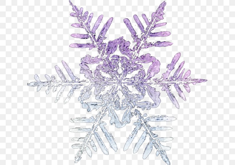 Snowflake Winter Clip Art, PNG, 629x578px, Snowflake, Ansichtkaart, Christmas Ornament, Daytime, Decoupage Download Free