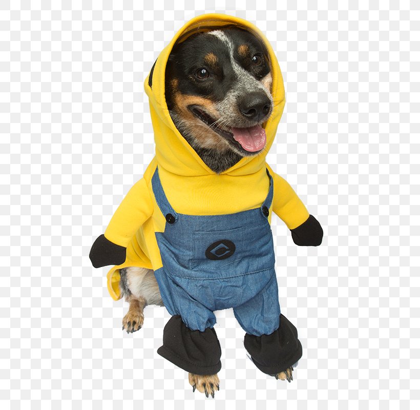 Dachshund Dog Breed Clothing Stitch Halloween Costume, PNG, 800x800px, Dachshund, Cat, Clothing, Companion Dog, Costume Download Free