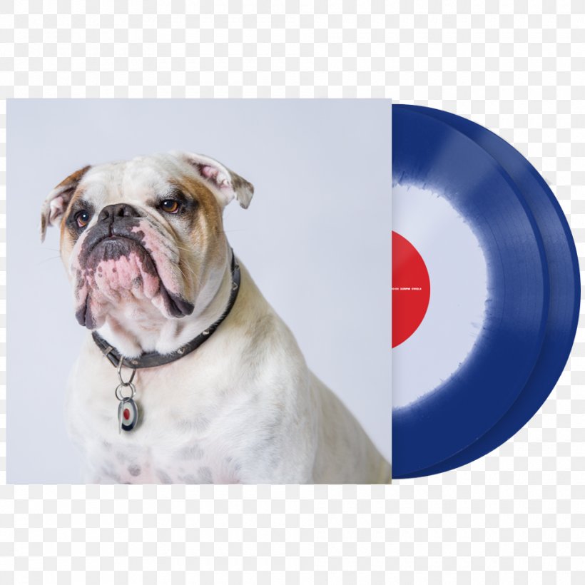 Dorset Olde Tyme Bulldogge American Bulldog Olde English Bulldogge Serato Audio Research Vinyl Emulation Software, PNG, 960x960px, Dorset Olde Tyme Bulldogge, American Bulldog, Audio Mixers, British Bulldogs, Bulldog Download Free