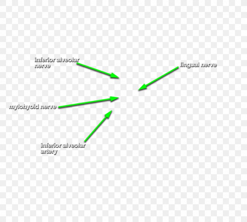 Line Brand Angle Font, PNG, 998x900px, Brand, Area, Diagram, Green, Text Download Free