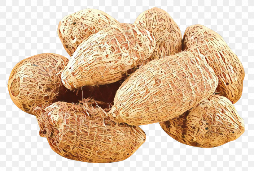 Nut Peanut Plant Food Zedoary, PNG, 1211x818px, Nut, Almond, Food, Nuts Seeds, Peanut Download Free