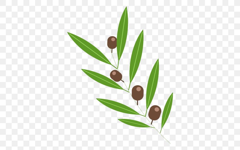 Olive Leaf Olive Leaf Clip Art, PNG, 512x512px, Olive, Branch, Grass, Leaf, Olive Leaf Download Free