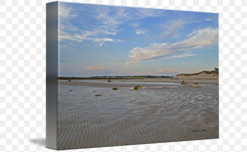 Shore Sea Tide Picture Frames Wood, PNG, 650x504px, Shore, Beach, Inlet, Picture Frame, Picture Frames Download Free