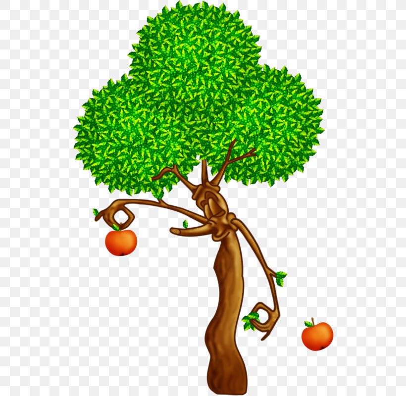 Branch Tree Oak Apples Plant, PNG, 528x800px, Branch, Apples, Drawing, Flowering Plant, Fruit Download Free