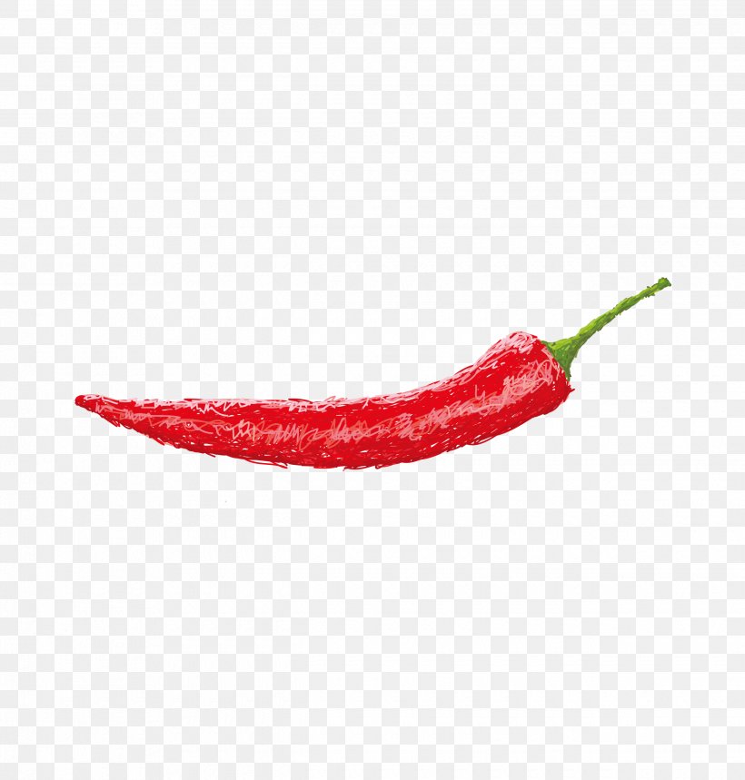 Chili Pepper Cayenne Pepper Peperoncino, PNG, 2480x2599px, Chili Pepper, Animation, Bell Peppers And Chili Peppers, Capsicum, Capsicum Annuum Download Free