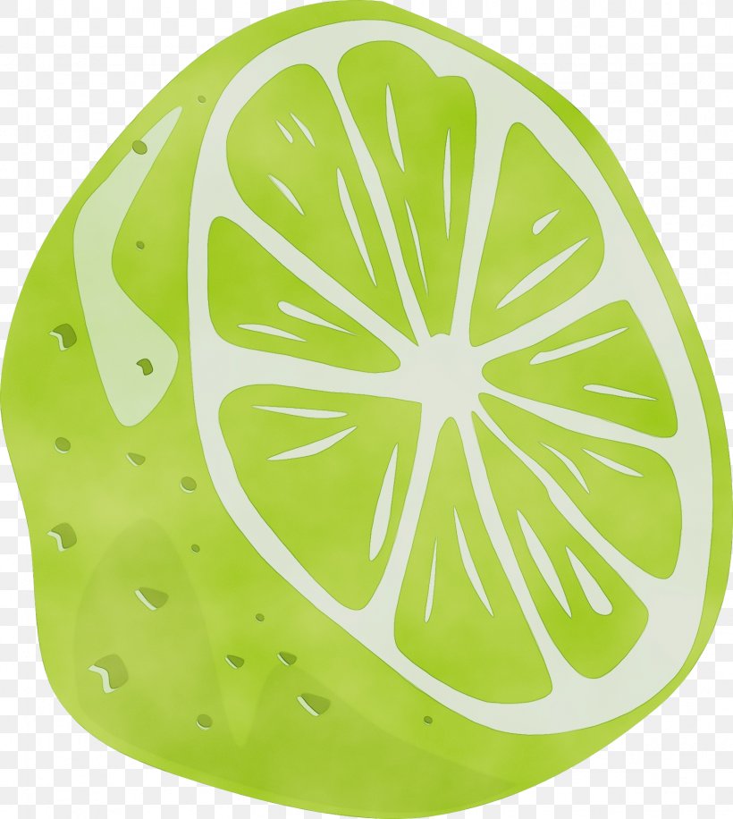 Green Leaf Citrus Plant Clip Art, PNG, 1717x1920px, Watercolor, Citrus, Fruit, Green, Leaf Download Free