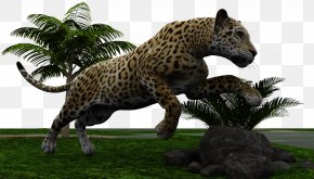 Jaguar - Jaguar Leopard Cat Tiger Felidae PNG