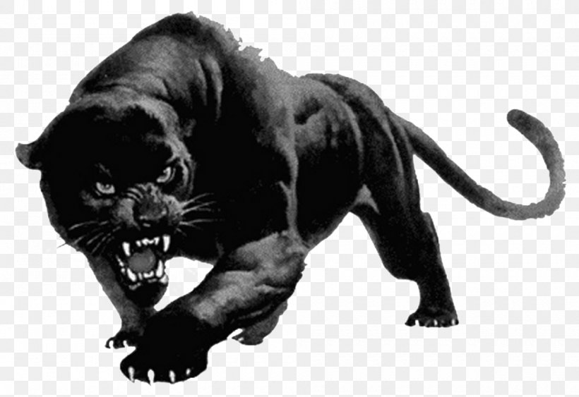 Leopard Black Panther Cougar Clip Art, PNG, 1000x687px, Leopard, Aggression, Big Cats, Black, Black And White Download Free