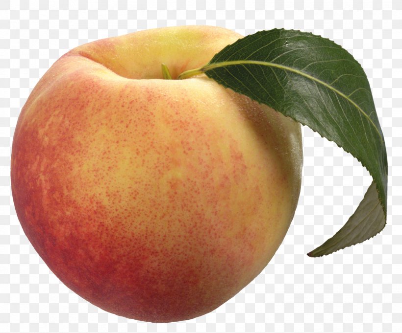 Peach Fruit Clip Art, PNG, 1452x1206px, Peach, Apple, Cherry, Diet Food, Food Download Free