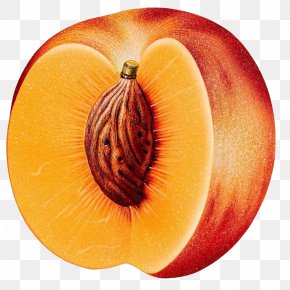 Peach - Peach Clip Art Fruit PNG