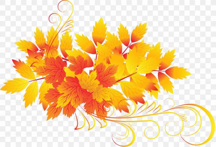 Autumn Leaf Color Clip Art, PNG, 6160x4204px, Leaf, Autumn, Autumn Leaf Color, Calendula, Chrysanths Download Free