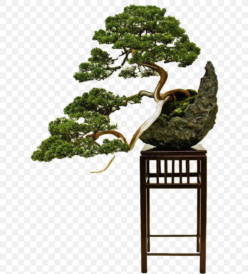 Bonsai Styles The Japanese Art Of Miniature Trees And Landscapes Pruning, PNG, 634x908px, Bonsai, Bonsai Styles, Crock, Decorative Arts, Flowerpot Download Free