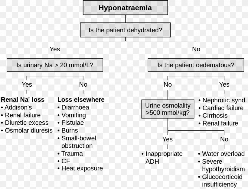 Hyponatremia Hypernatremia Hypovolemia Flow Diagram Flowchart, PNG, 1210x925px, Hyponatremia, Area, Brand, Chart, Concept Map Download Free
