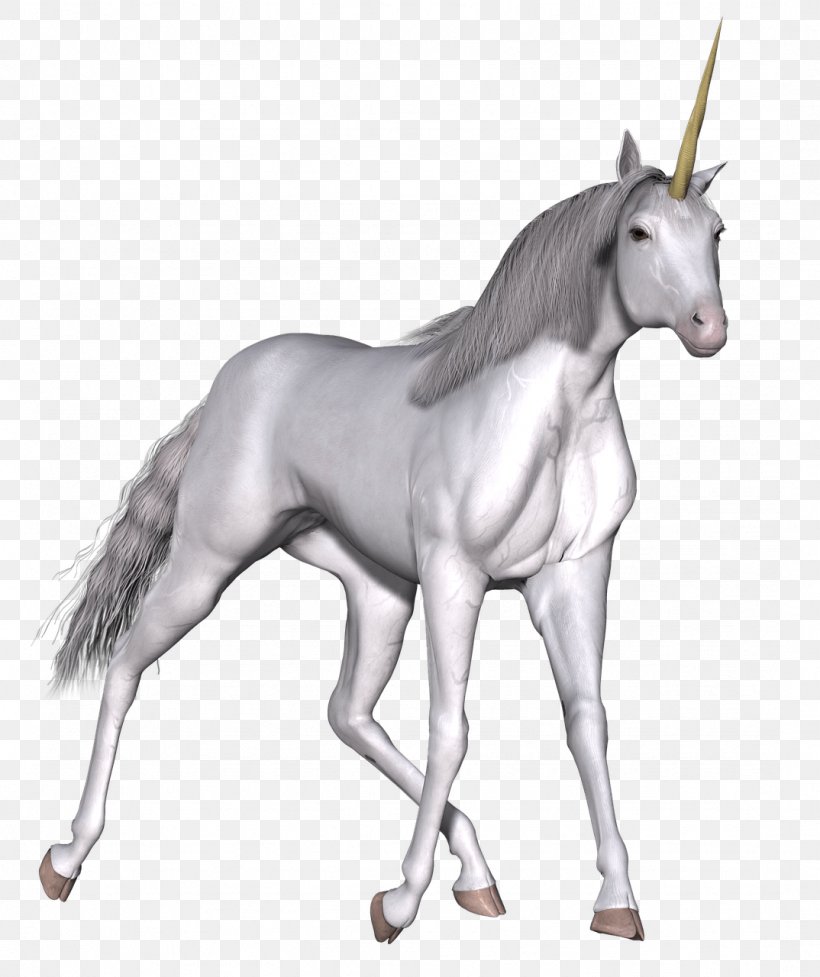 Unicorn Fairy Tale Horse Clip Art, PNG, 1074x1280px, Unicorn, Animal Figure, Bridle, Colt, Elf Download Free