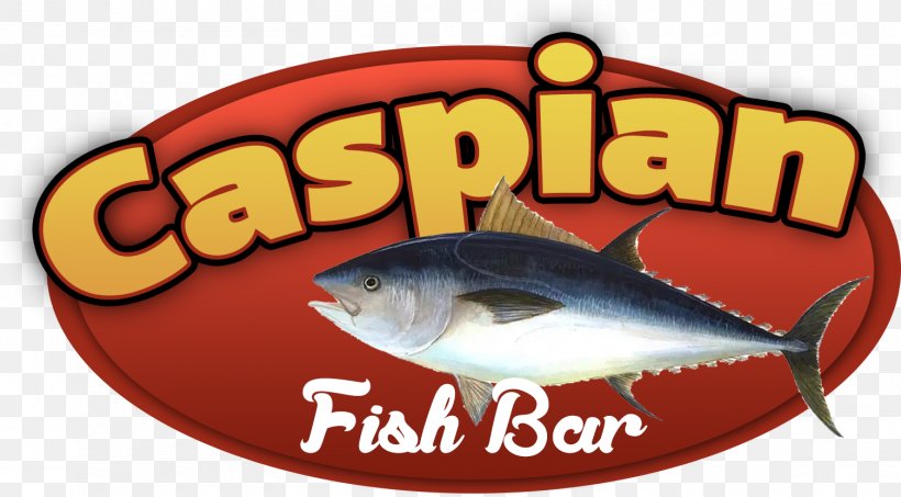 Caspian Fish Bar Take-out Food Kebab, PNG, 1505x832px, Fish, Brand, Delivery, Dinner, Email Download Free