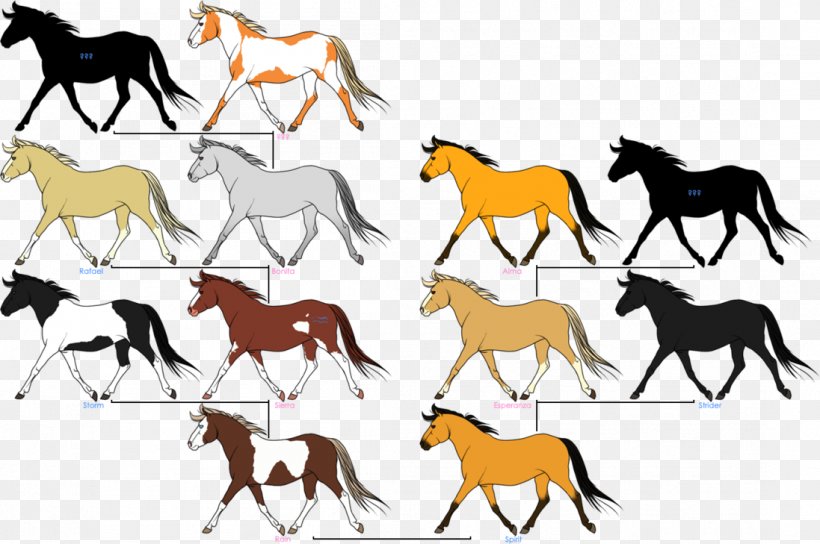 Mustang Horses Drawing Family Tree DeviantArt, PNG, 1097x729px, Mustang, Animal Figure, Animation, Art, Coloring Book Download Free