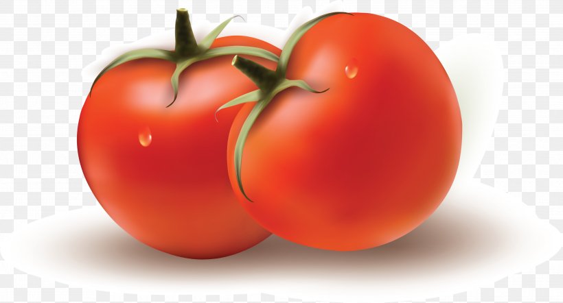 Plum Tomato Bush Tomato Vegetable, PNG, 3101x1672px, Plum Tomato, Apple, Bush Tomato, Chart, Diet Food Download Free