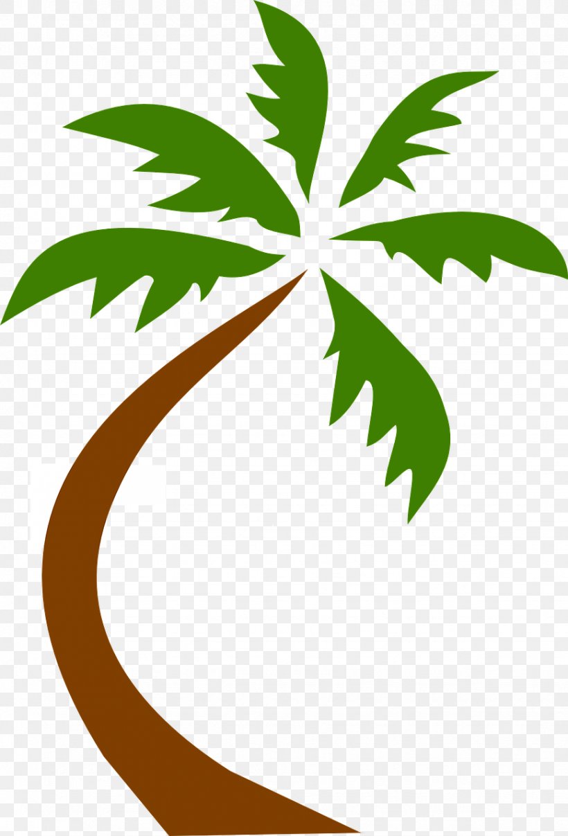Arecaceae Virginia Beach Clip Art, PNG, 869x1280px, Arecaceae, Beach, Branch, California Palm, Coconut Download Free