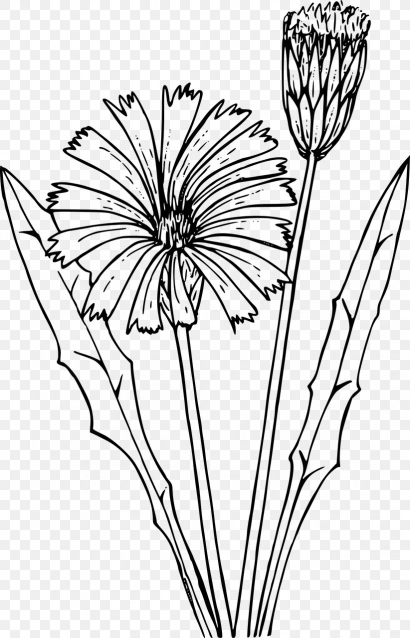 Coloring Book Dandelion Drawing Flatweed, PNG, 822x1280px, Coloring Book, Adult, Artwork, Black And White, Branch Download Free