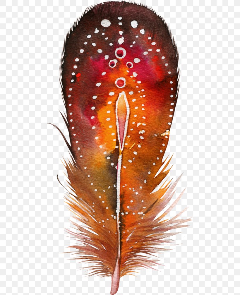 Feather Bird Color Drawing Painting, PNG, 500x1008px, Feather, Bird, Bohochic, Color, Colored Pencil Download Free