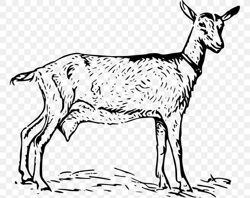 Goat Download Clip Art, PNG, 755x649px, Goat, Animal Figure, Black And White, Cattle Like Mammal, Cow Goat Family Download Free