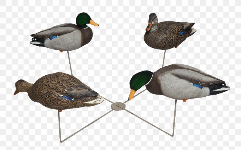 Mallard Goose Duck Beak, PNG, 940x587px, Mallard, Beak, Bird, Duck, Ducks Geese And Swans Download Free